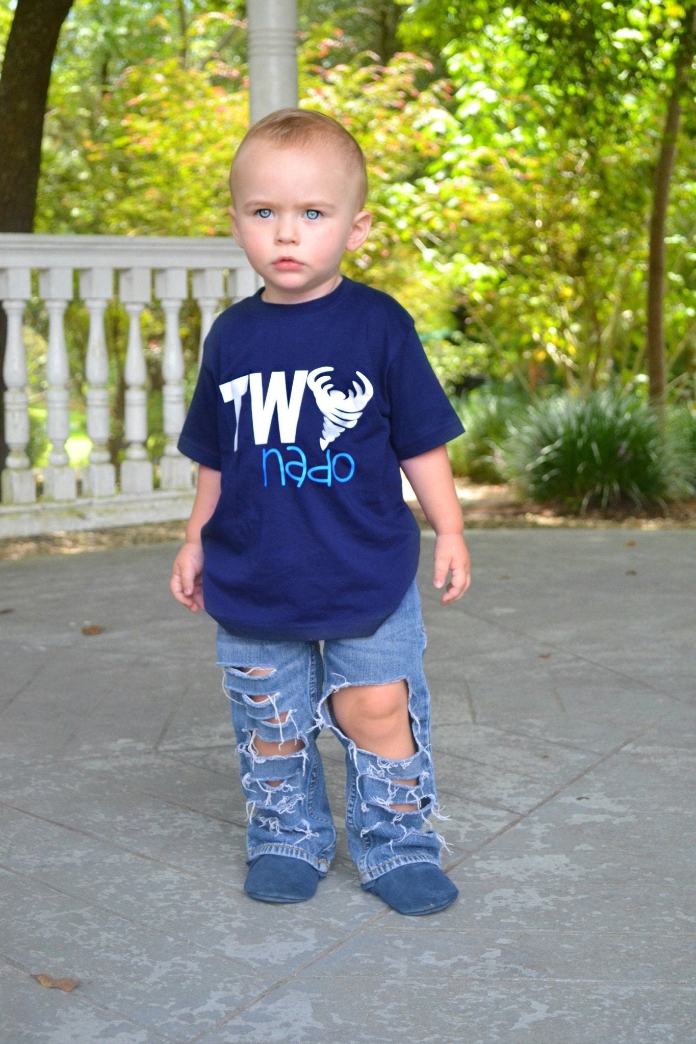 2nd birthday tornado shirt - Purple Elephant MS