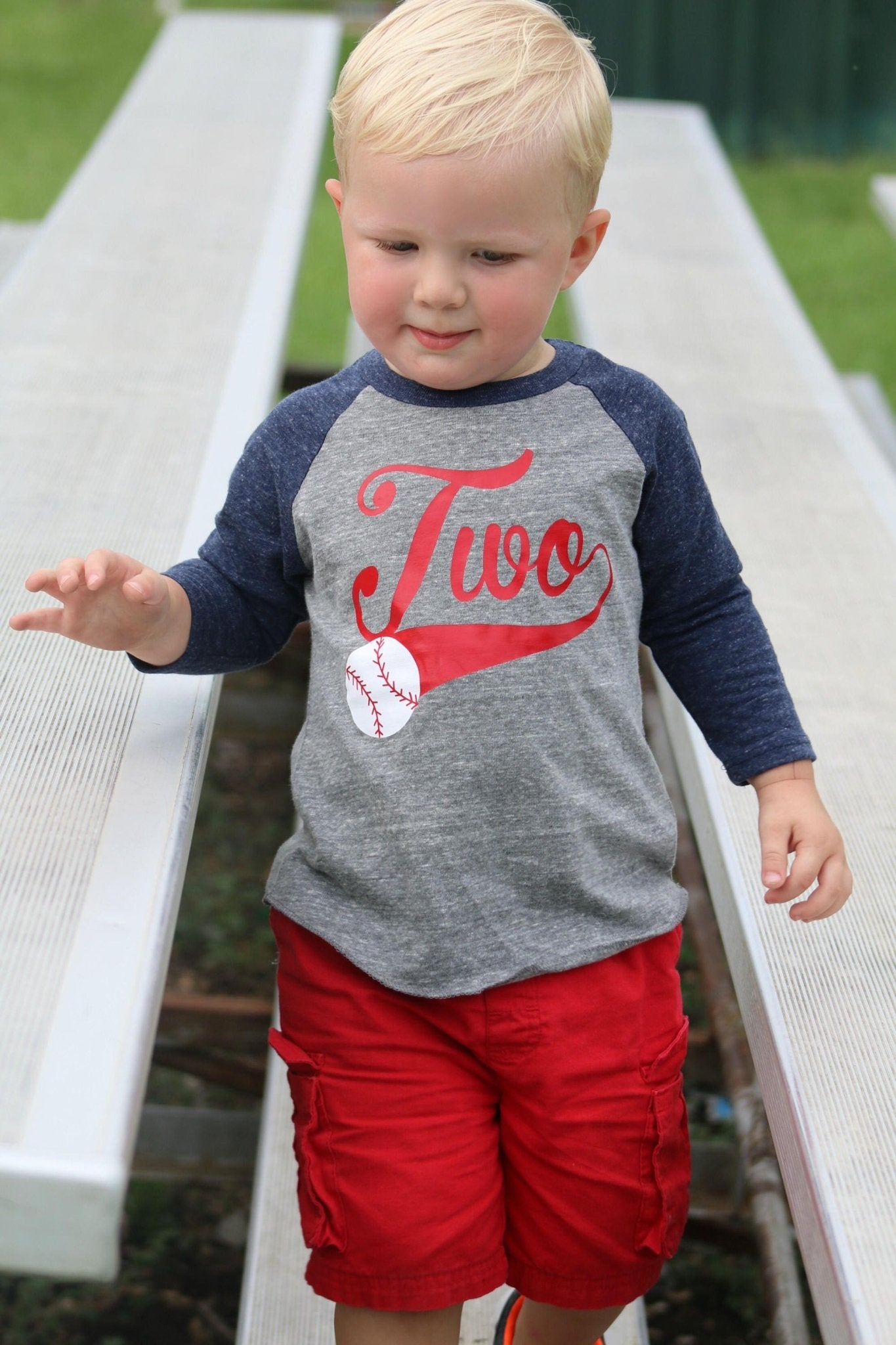 Boys 2nd Birthday Shirt - Purple Elephant MS