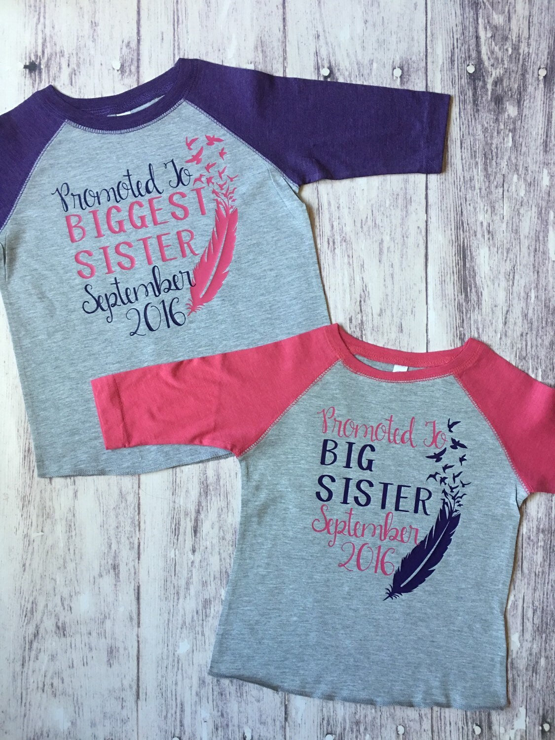 Promoted To Big Sister & Biggest Sister shirts