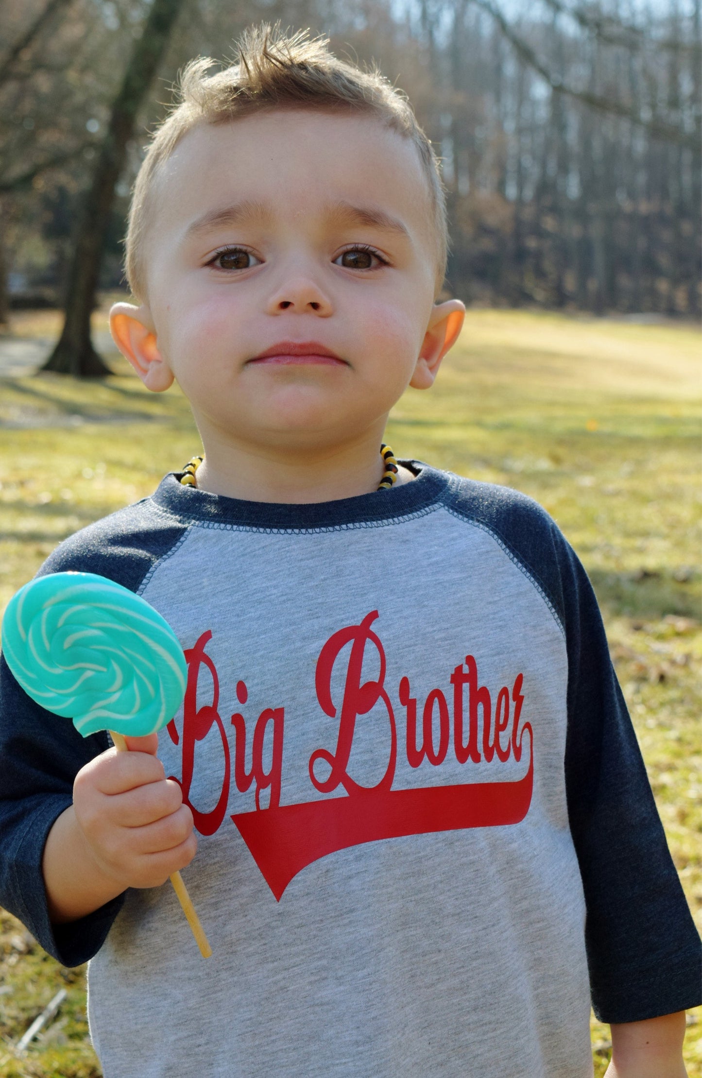 Big Brother T-Shirt, Baby Announcement, Big Bro Shirt, Gender Reveal Tee, Gift for New Brother, Hospital Outfit