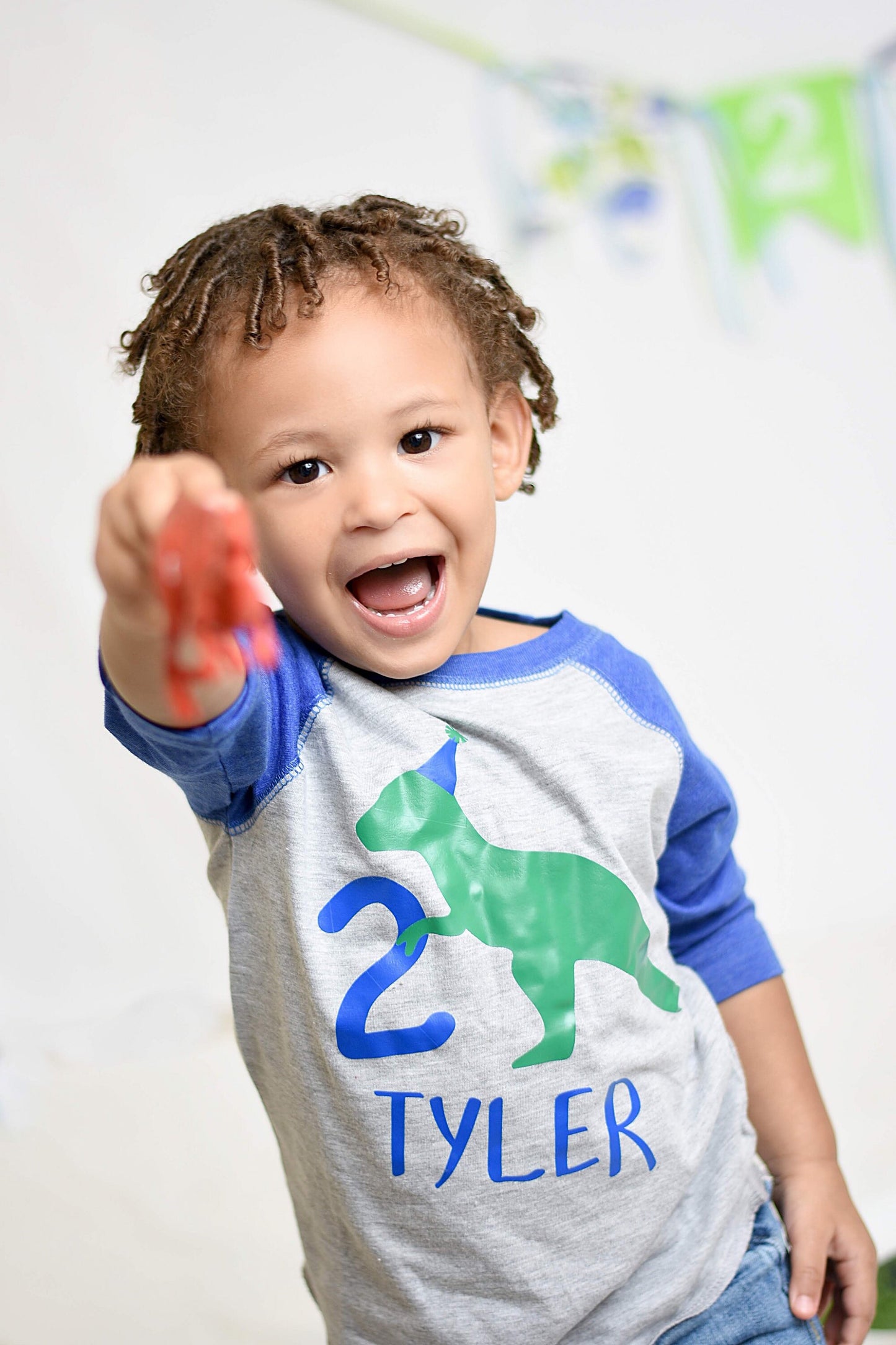 2nd Birthday Dinosaur Party Shirt