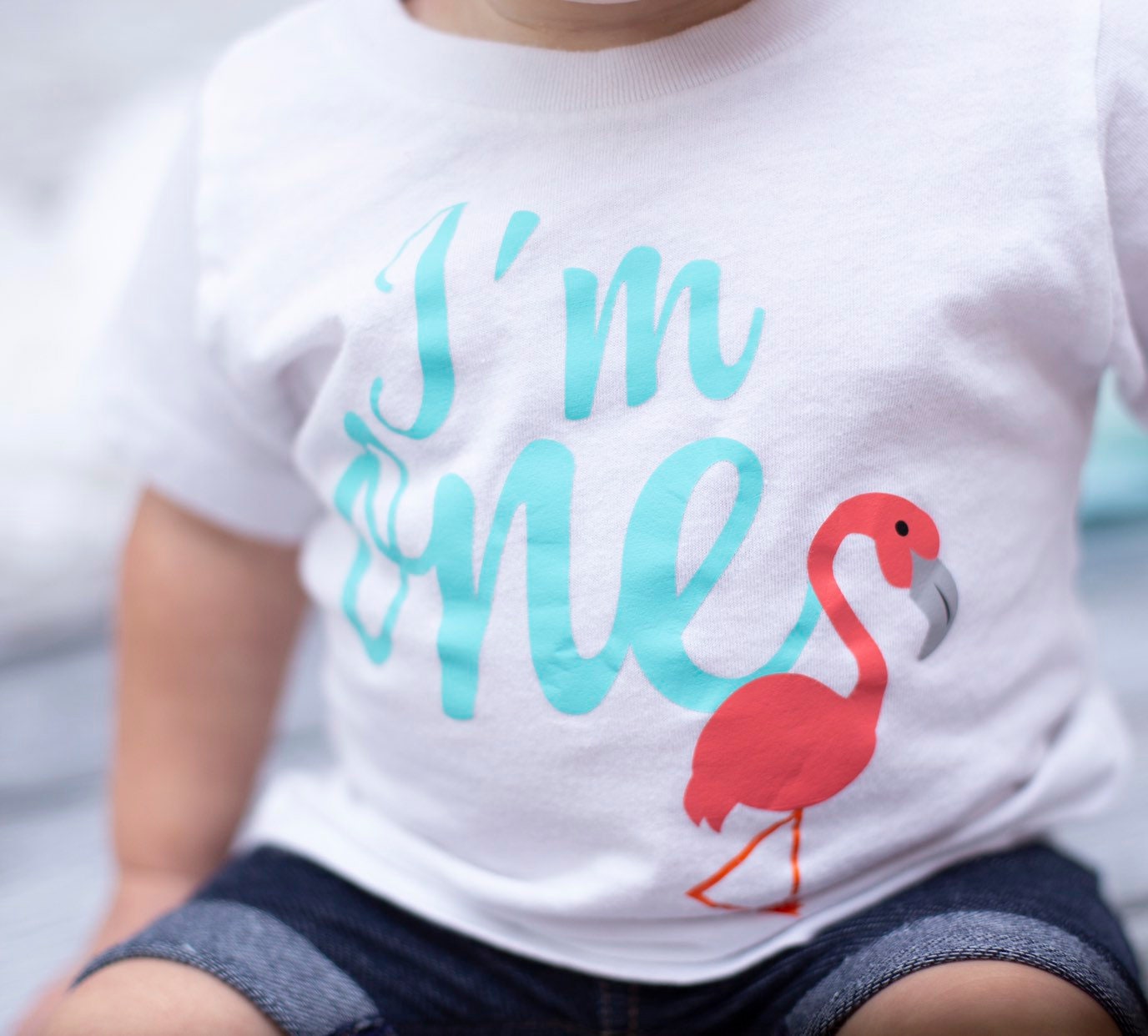 Girls Flamingo 1st birthday Shirt, Hawaiian Birthday tee, Luau Party Shirt, Tropical Birthday Shirt
