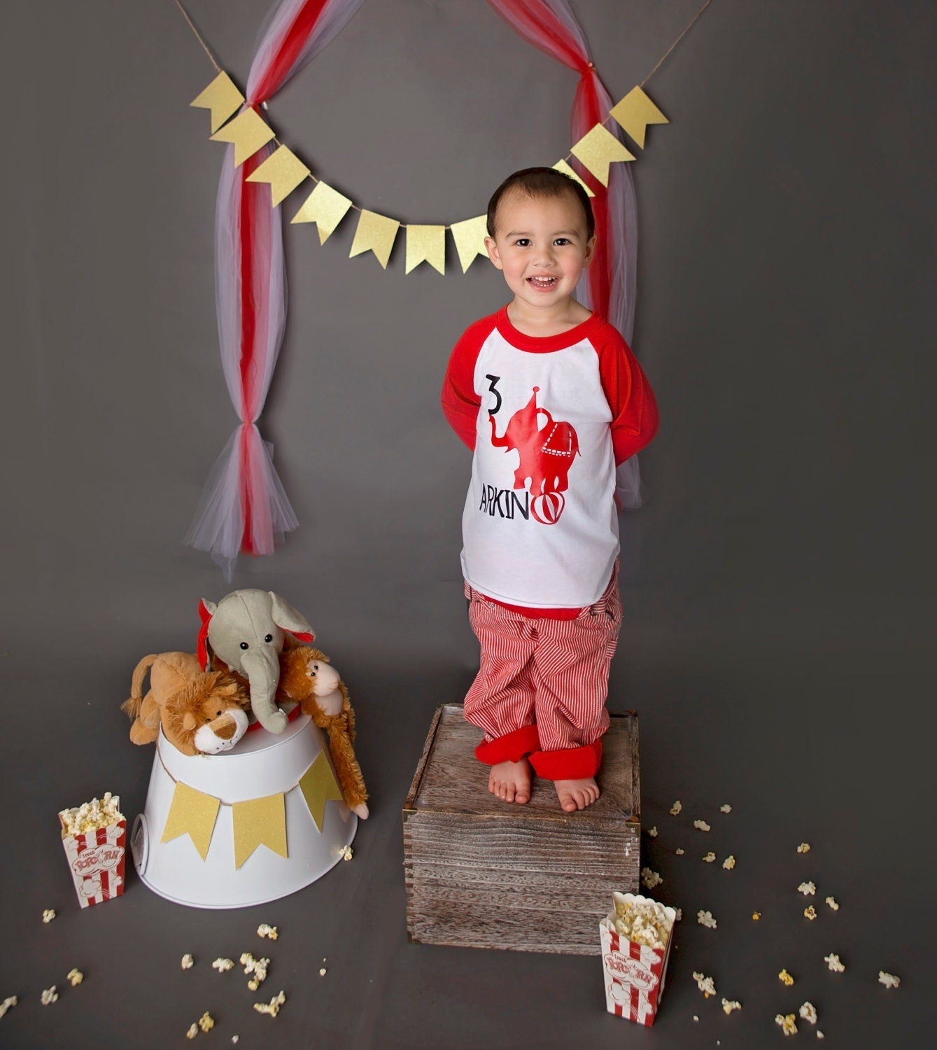 Personalized 3rd birthday Circus Shirt, Carnival Birthday Tee, Ring Master Party, Three Shirt - Purple Elephant MS