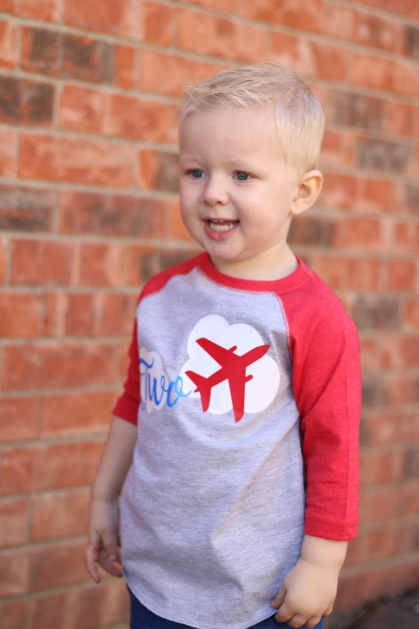 2nd birthday Airplane Shirt, Two Fly Party - Purple Elephant MS