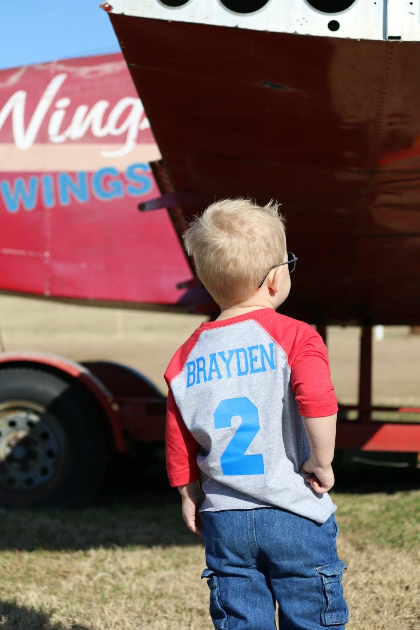 2nd birthday Airplane Shirt, Two Fly Party - Purple Elephant MS