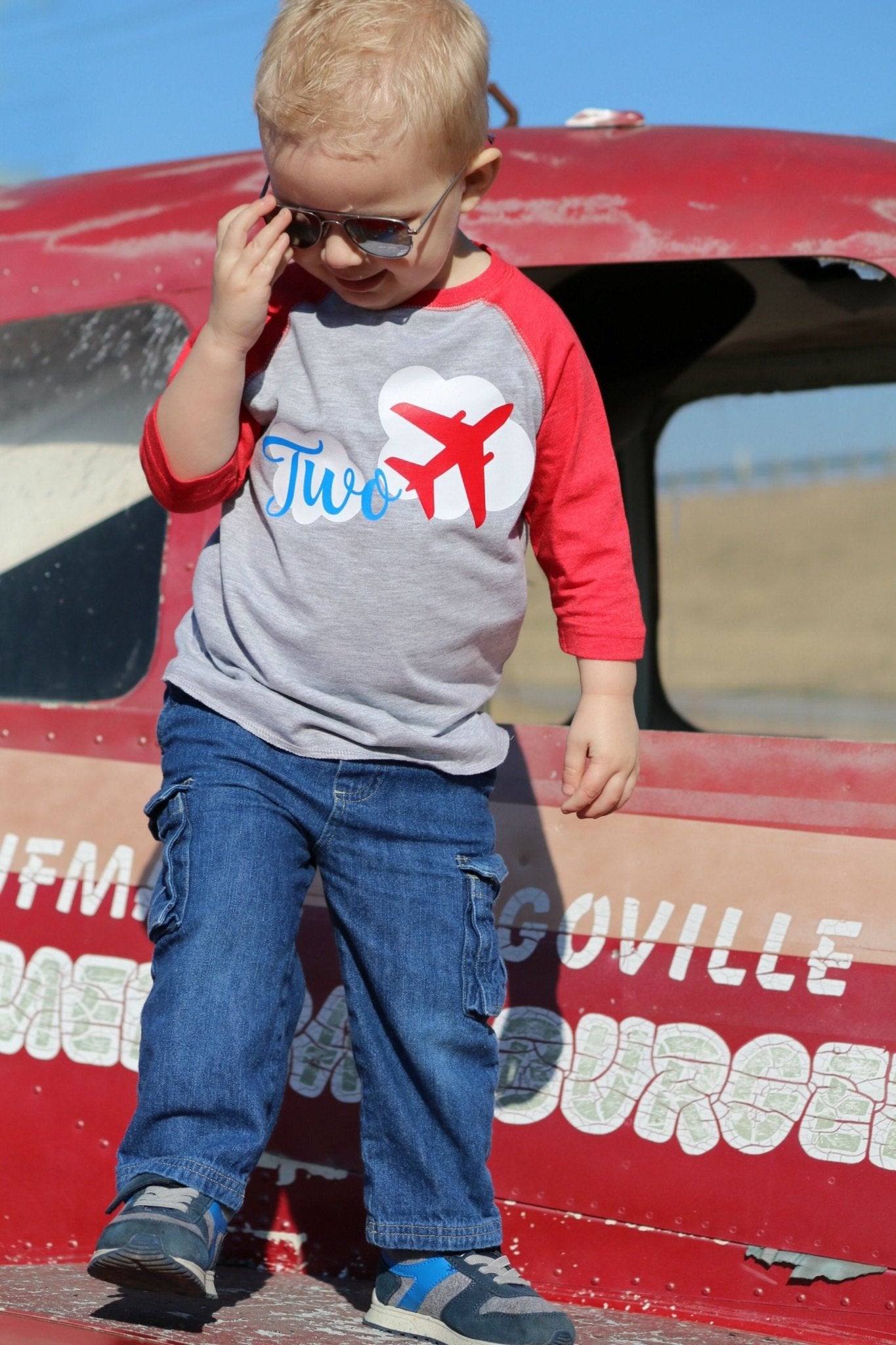 2nd birthday Airplane Shirt, Two Fly Party - Purple Elephant MS