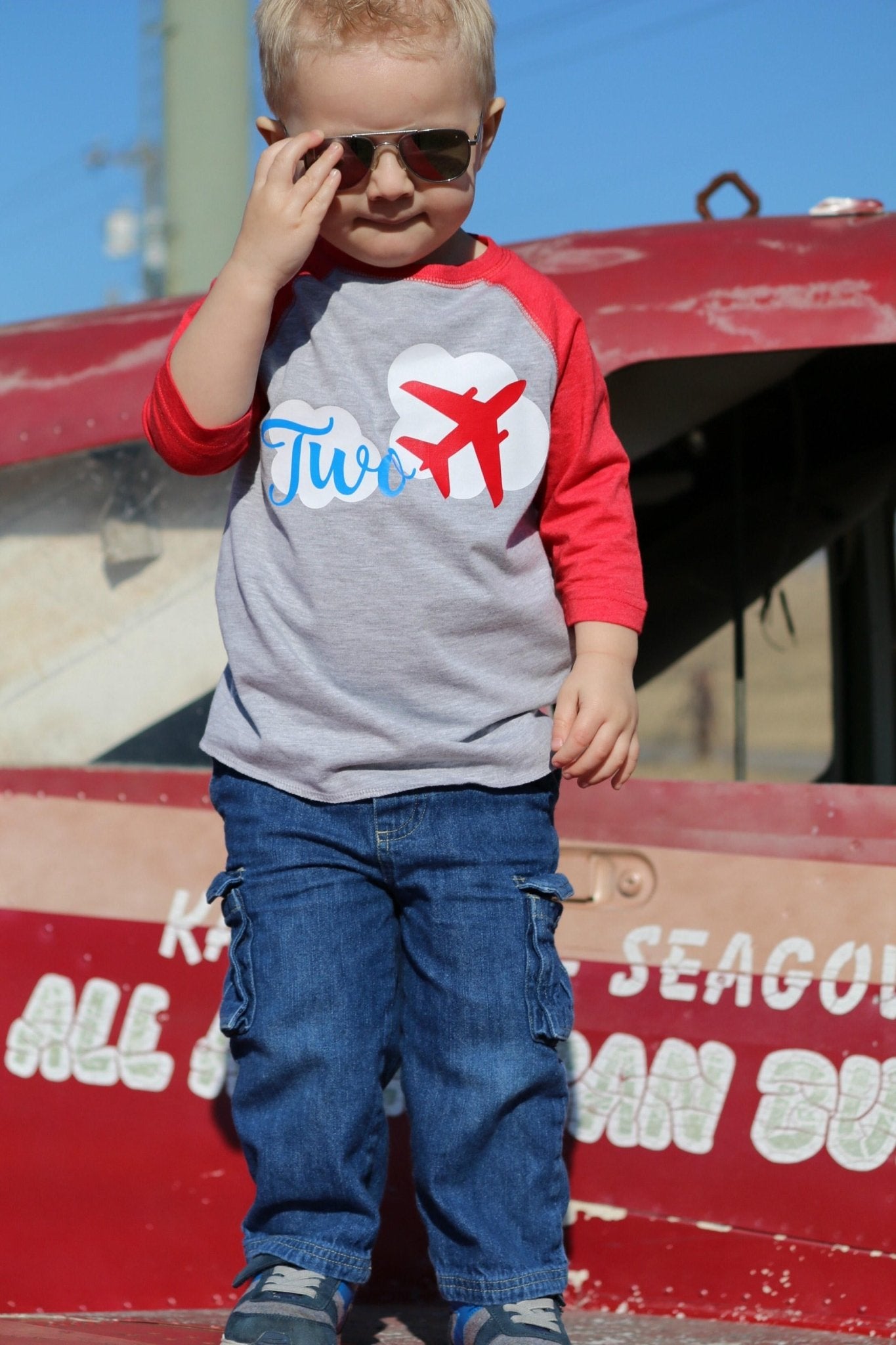 2nd birthday Airplane Shirt, Two Fly Party - Purple Elephant MS