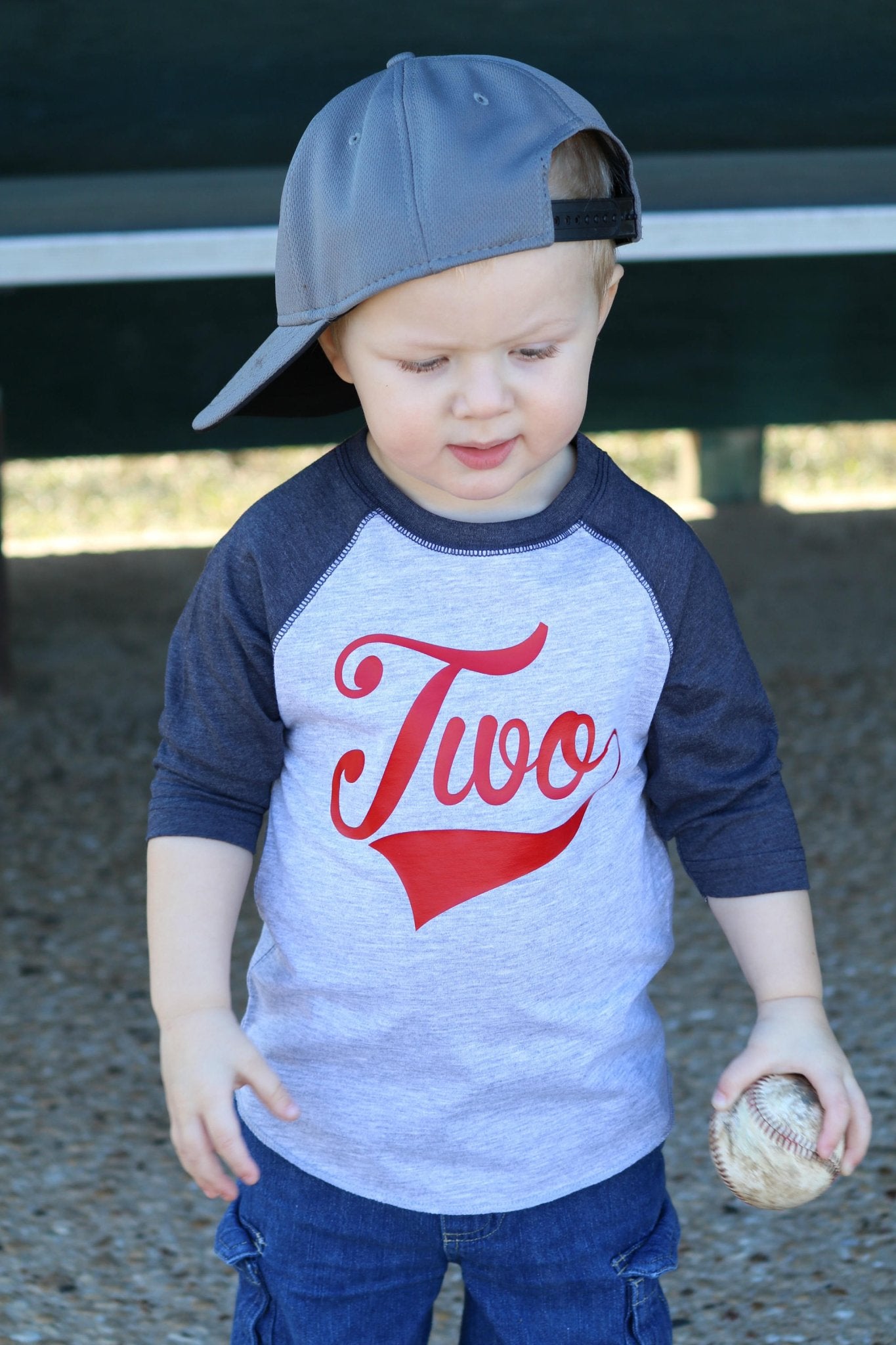 2nd Birthday Baseball Party Shirt, Gift for Two Year Old, Second Birthday Tee,, Boys Birthday T-Shirt - Purple Elephant MS