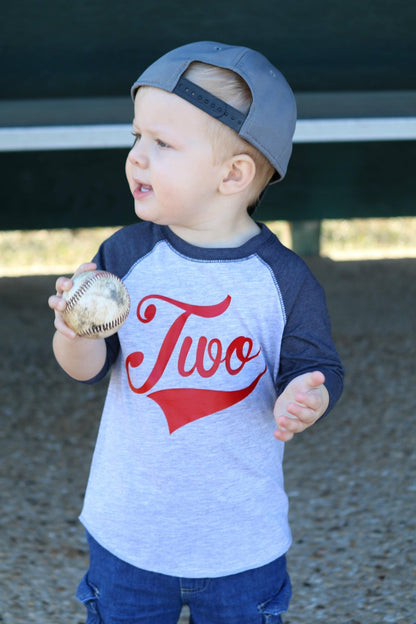 2nd Birthday Baseball Party Shirt, Gift for Two Year Old, Second Birthday Tee,, Boys Birthday T-Shirt - Purple Elephant MS