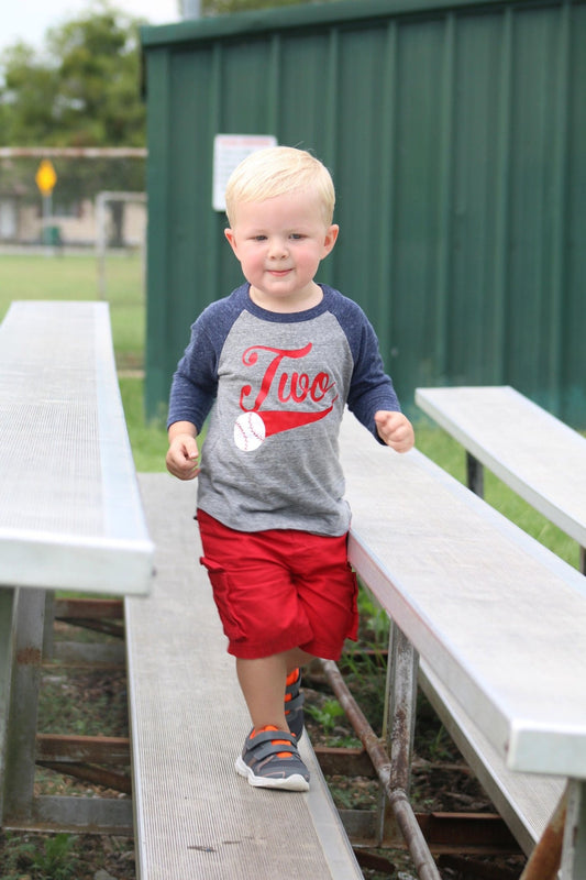 Boys 2nd Birthday Shirt - Purple Elephant MS