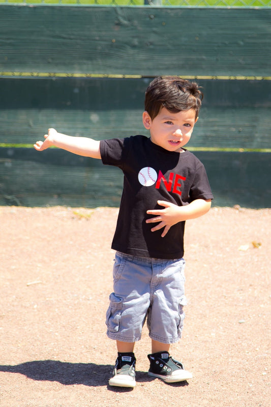 One shirt, first birthday shirt, boys 1st birthday, Baseball birthday shirt, birthday shirt, baseball t-shirt, baseball birthday