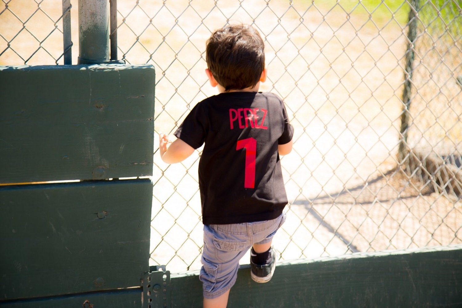 One shirt, first birthday shirt, boys 1st birthday, Baseball birthday shirt, birthday shirt, baseball t-shirt, baseball birthday