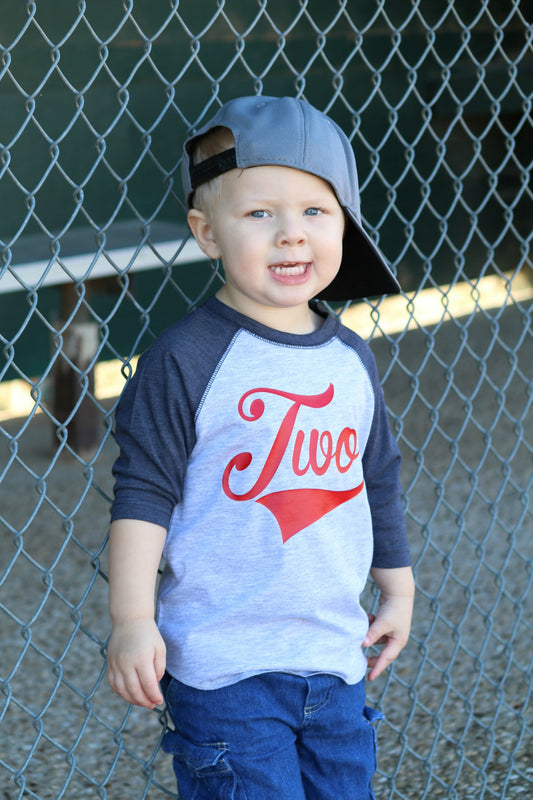 2nd Birthday Baseball Party Shirt, Gift for Two Year Old, Second Birthday Tee,, Boys Birthday T-Shirt