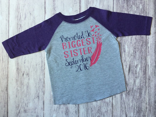 Promoted to Biggest Sister Shirt, Big Sister Again, Pregnancy Announcement Shirt