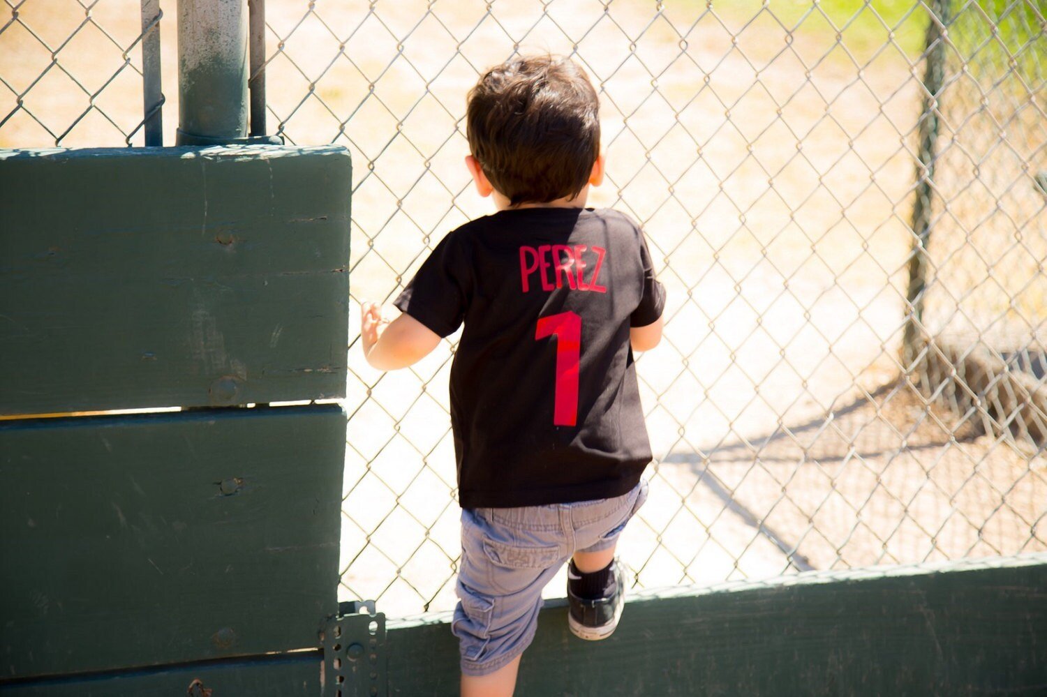 One shirt, first birthday shirt, boys 1st birthday, Baseball birthday shirt, birthday shirt, baseball t-shirt, baseball birthday - Purple Elephant MS