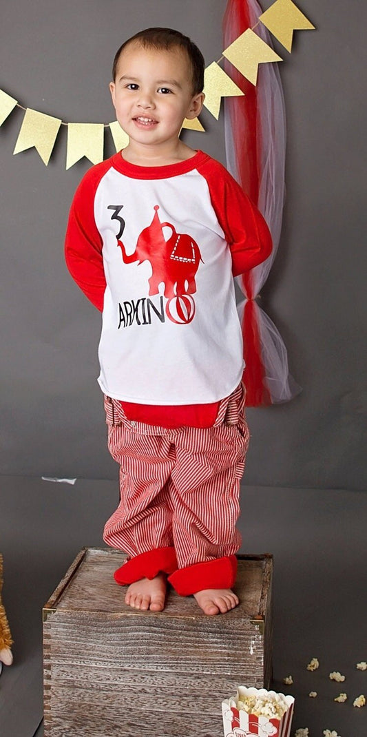 Personalized 3rd birthday Circus Shirt, Carnival Birthday Tee, Ring Master Party, Three Shirt - Purple Elephant MS
