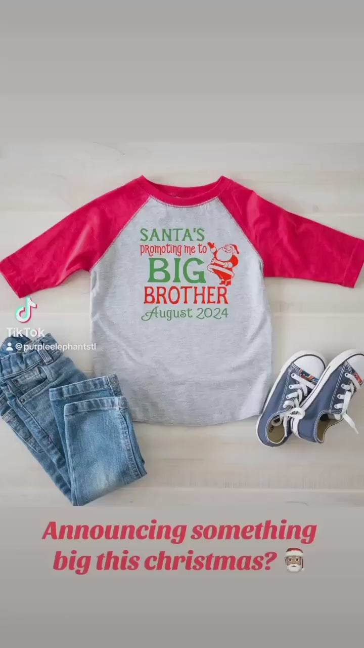 Promoted to Big Brother Christmas shirt