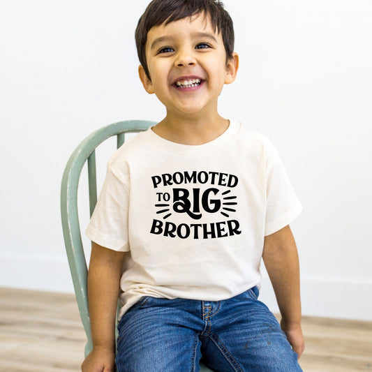 Promoted to Big Brother Shirt, 2nd child announcement, Gift for new Brother - Purple Elephant MS