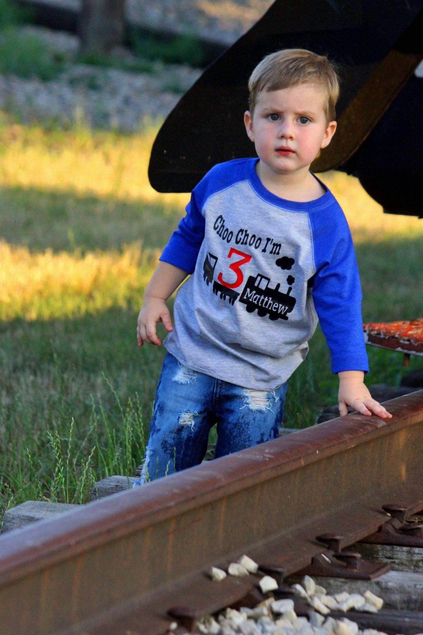 Toddler Boys Train Choo Birthday Party T-Shirt - Purple Elephant MS