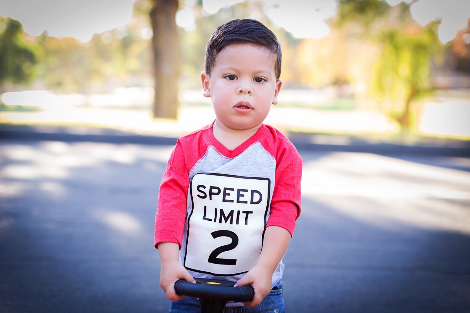 Toddler Car Party Shirt for Two Year Old Birthday Celebration - Purple Elephant MS