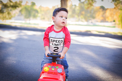 Toddler Car Party Shirt for Two Year Old Birthday Celebration - Purple Elephant MS