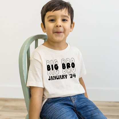 Trendy Big Bro Pregnancy Announcement Shirt, Personalized 2nd child announcement, Gift for new Brother - Purple Elephant MS